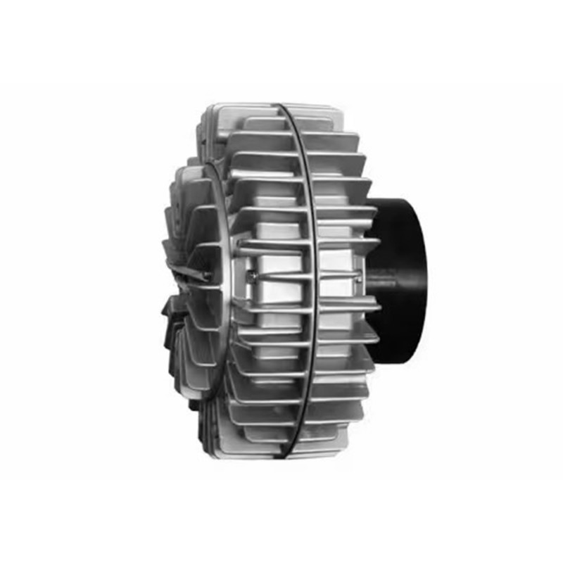 Frizione a polvere magnetica